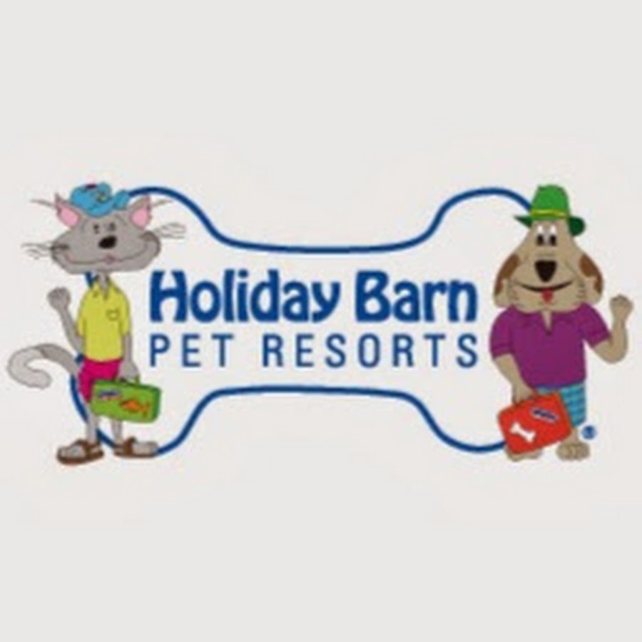 Holiday Barn Pet Resorts Youtube