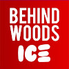 What could Behindwoods Ice buy with $2.49 million?