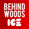 What could Behindwoods Ice buy with $2.5 million?