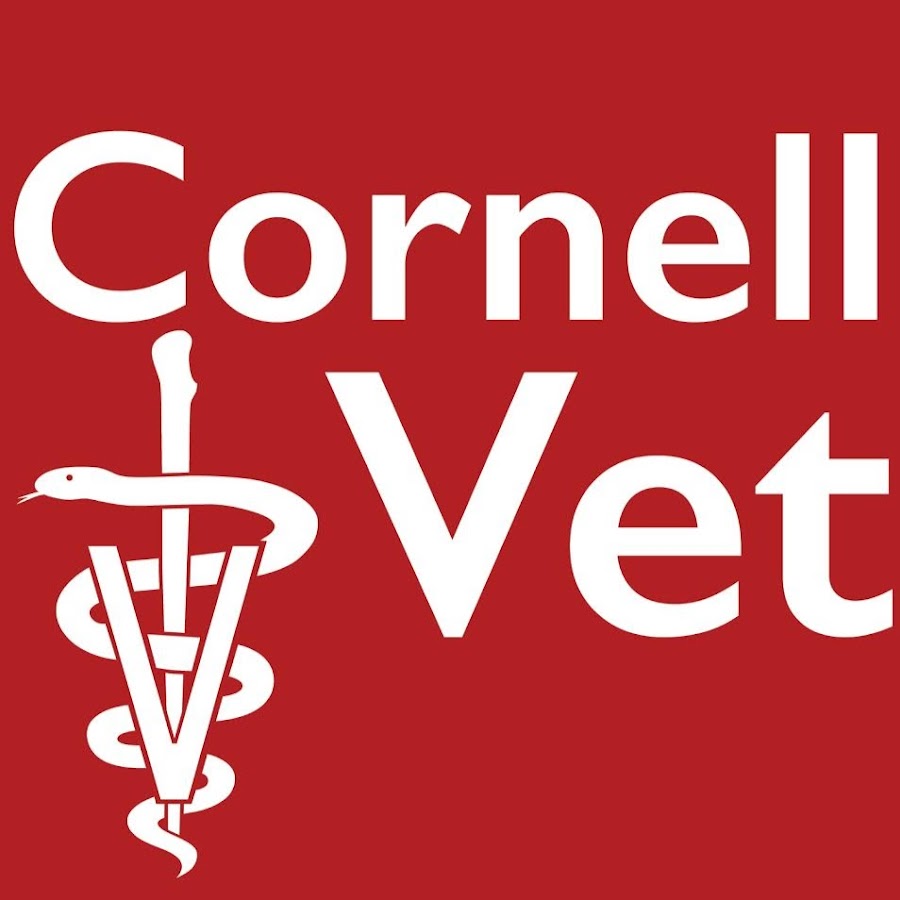 Cornell Universitys College Of Veterinary Medicine MedicineWalls