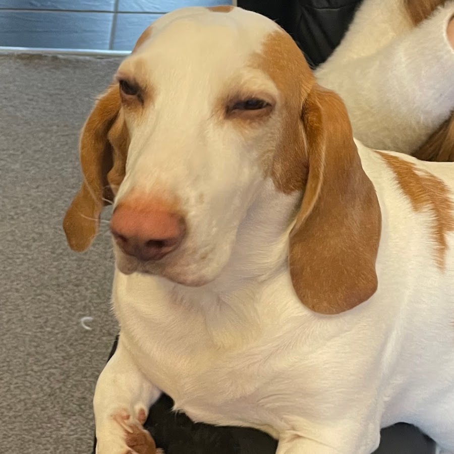 JasmineLeigh123 - YouTube