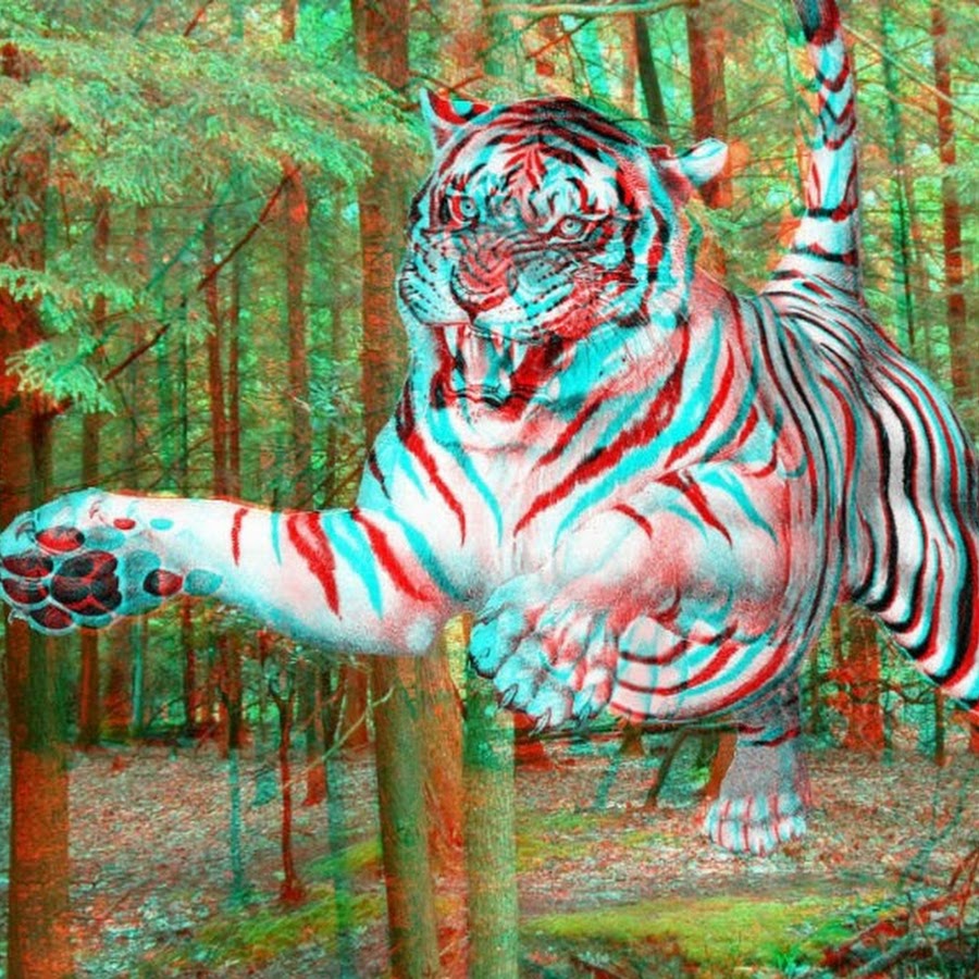 3д