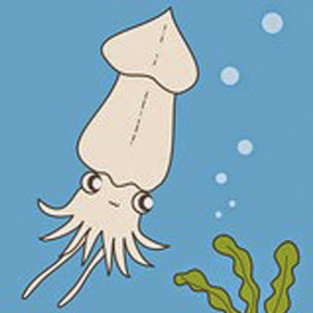 �٥ȡ�ȯ�ʴ��� YouTube