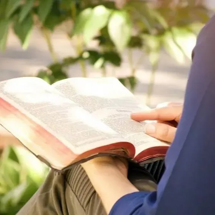 Типы читающих людей. Чтение Библии. Человек читает Библию. Чтение Библии на природе. Человек с Библией в руках.