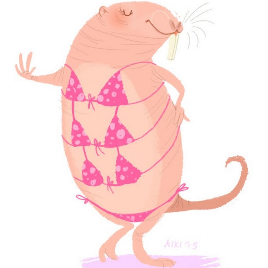 Meme Rat 