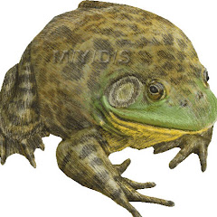 セカンドドブガエル