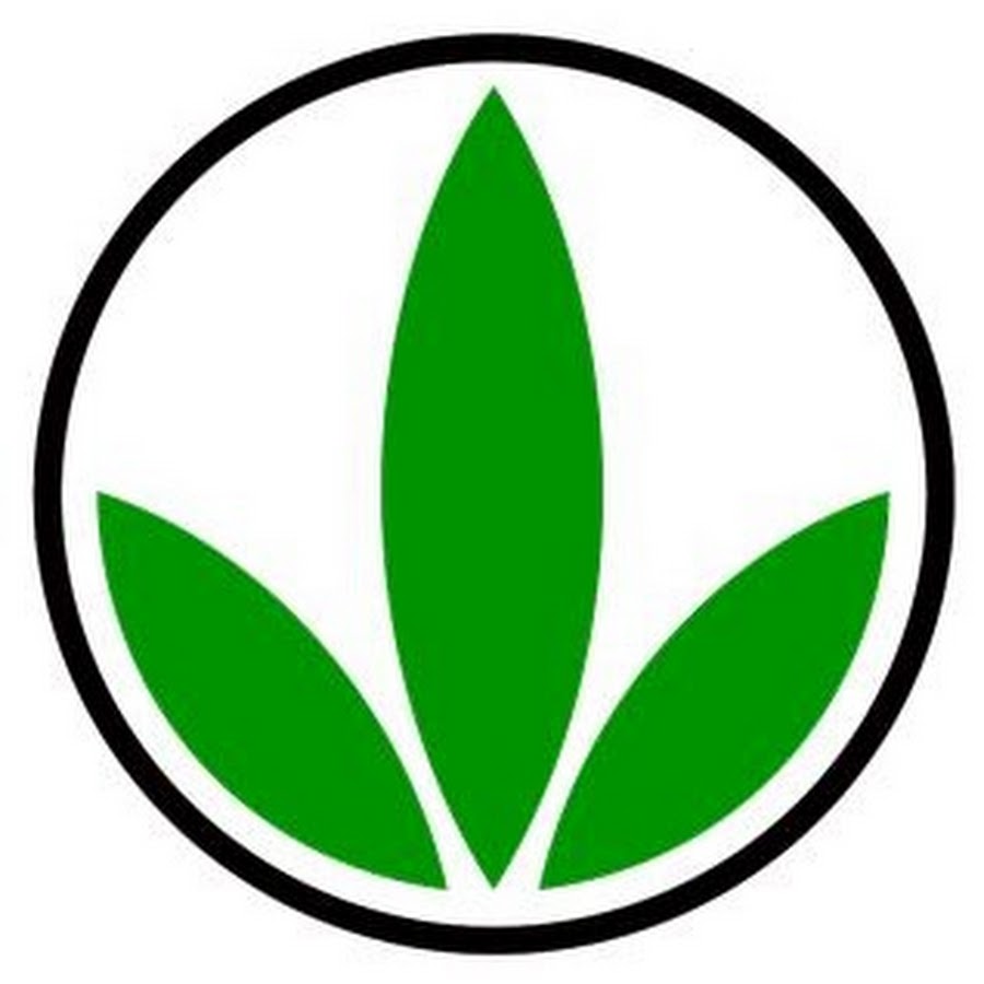 Herba Life YouTube