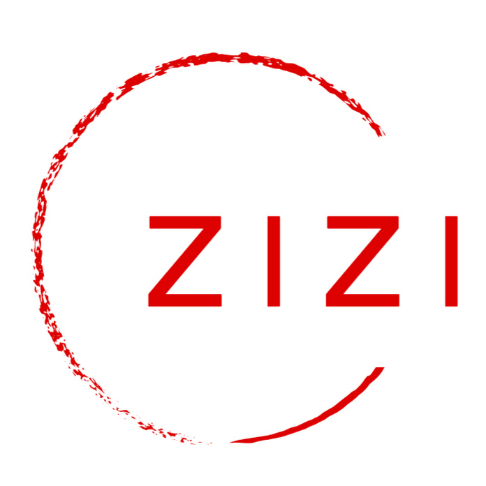 ZiZi Plus Net Worth & Earnings (2024)