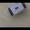 WonderHowToFAKE