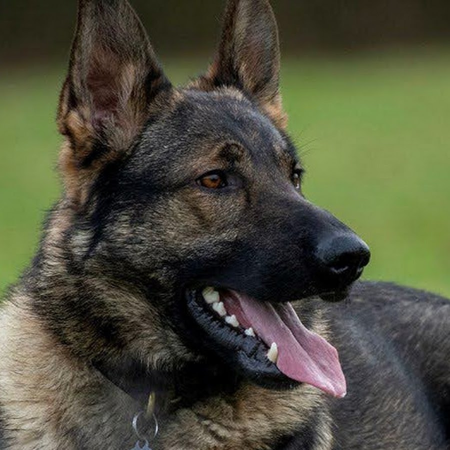 UK News In Pictures - YouTube