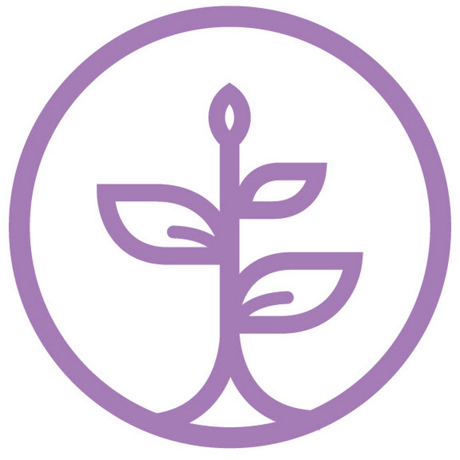 Personal Development School Thais Gibson YouTube