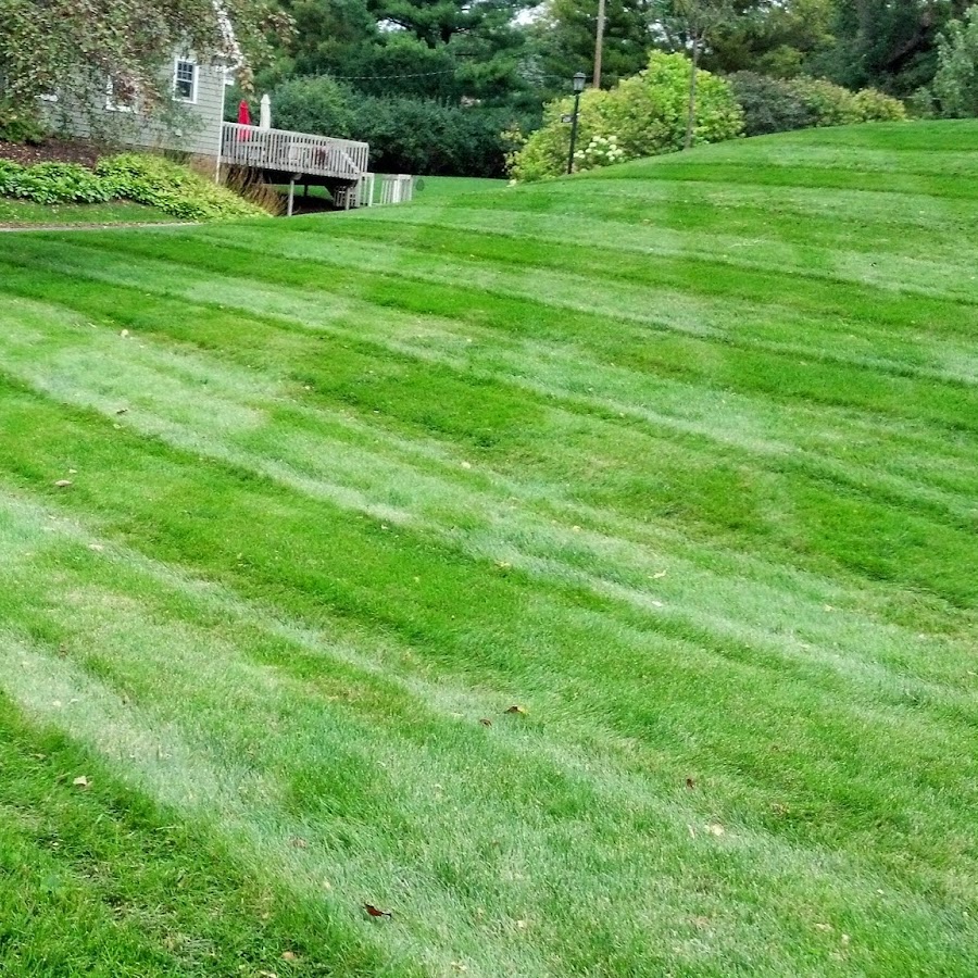 the lawn guy YouTube