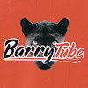 What could BarryTube buy with $5.5 million?