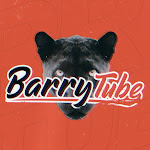 BarryTube Net Worth