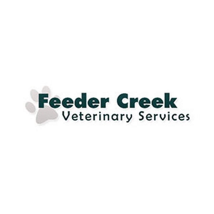 Feeder Creek Veterinary Services Youtube