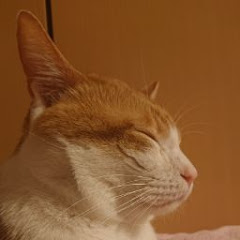 脱力エレキテル