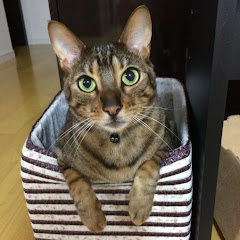 あいいと