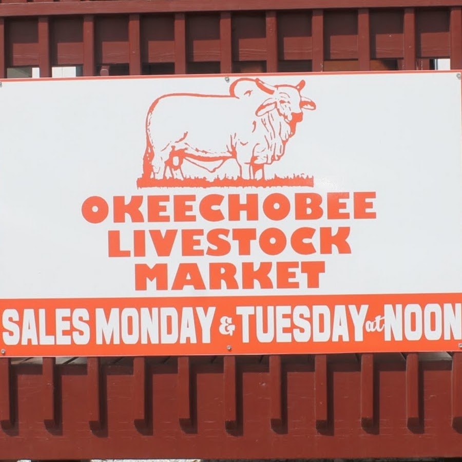 Okeechobee Livestock Market 
