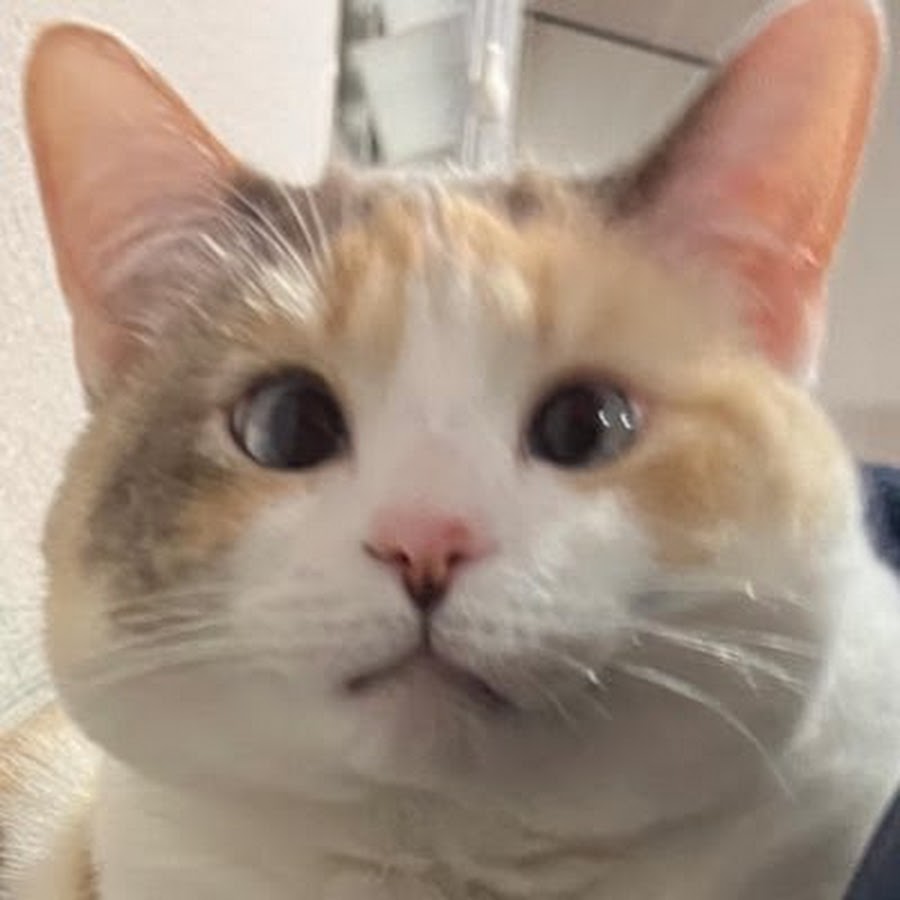 certified hood classic YouTube