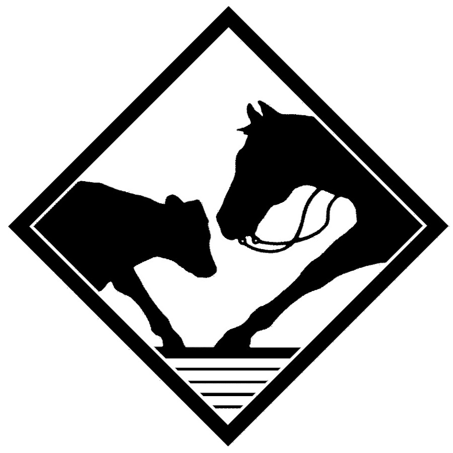 Pacific Coast Cutting Horse Association YouTube