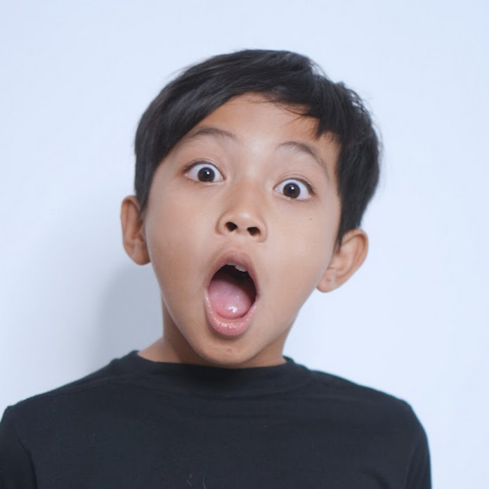 Diwan Net Worth & Earnings (2026)