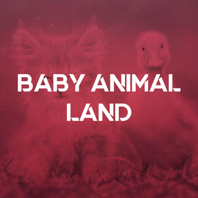 Baby Animal Land Net Worth & Earnings (2024)