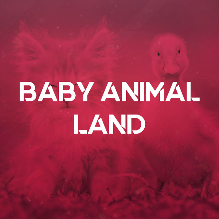 Baby Animal Land Net Worth & Earnings (2026)