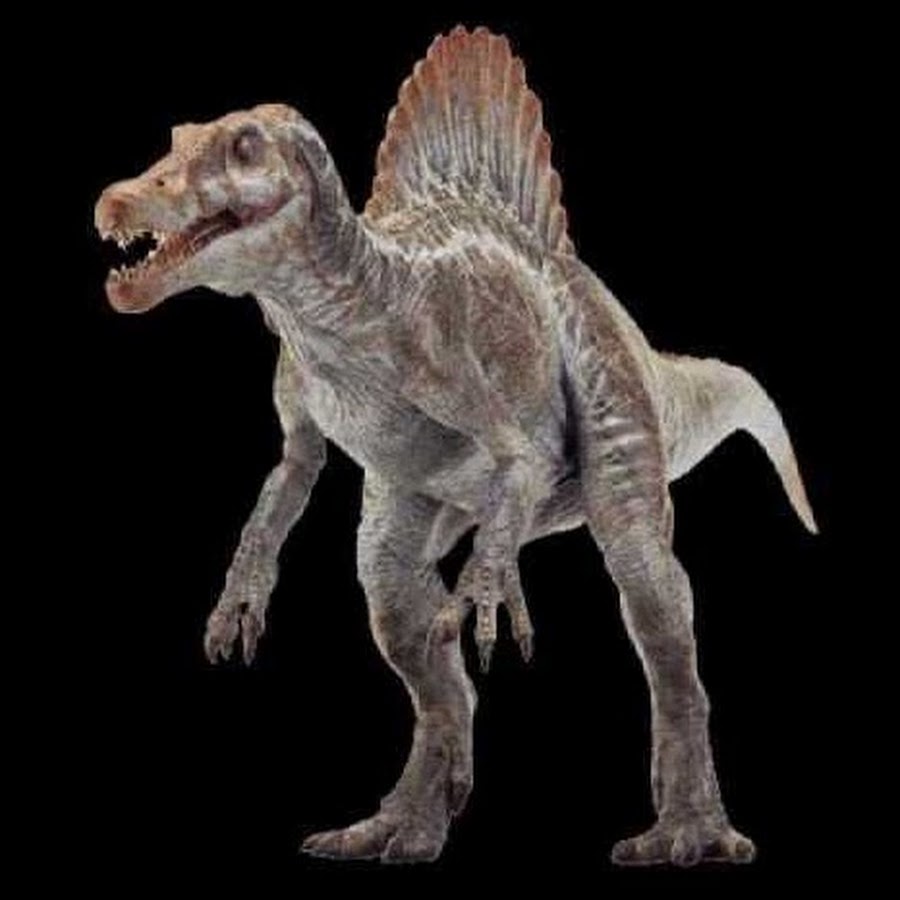 spinosaurus aegyptiacus 2020