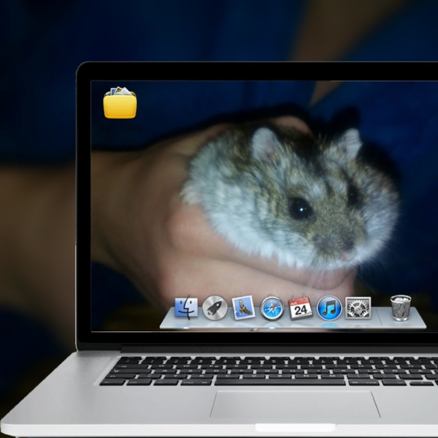 Hamsters and their quest for world domination girls
