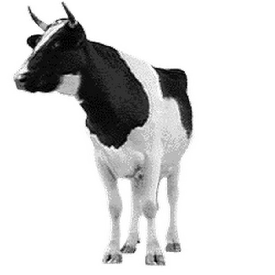 ������ �������� ��������