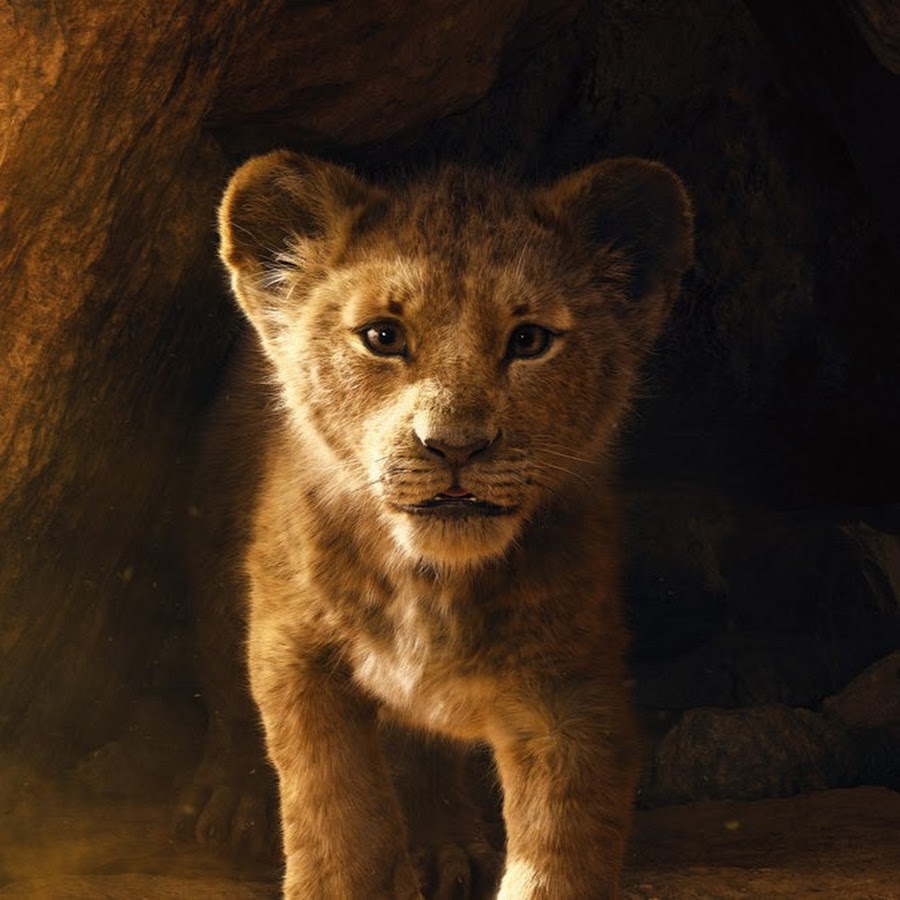 O Rei Leão (2019)