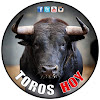 What could Toros Salva Mari videos toros Valencia buy with $538 thousand?