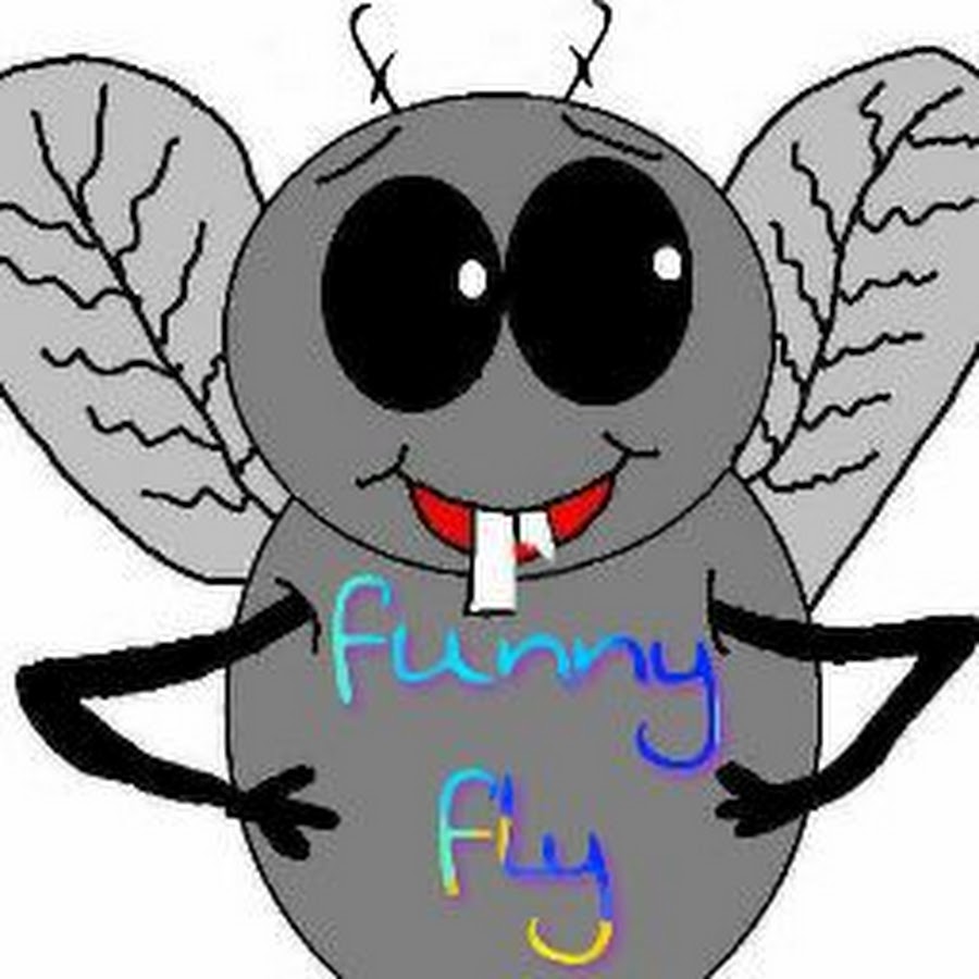 Муха летает. Flying by the lights текст. Скорость мухи. The x flies. The x flies.