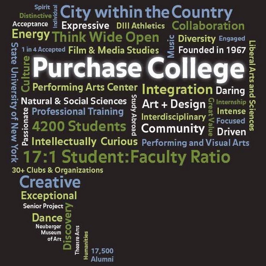 Suny purchase early action picture