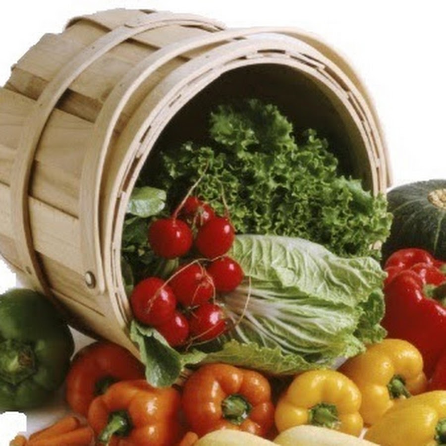 The Nutritionist's Basket YouTube