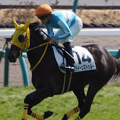 BTおぼろ