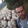 What could Guillaume éleveur de brebis buy with $138.1 thousand?