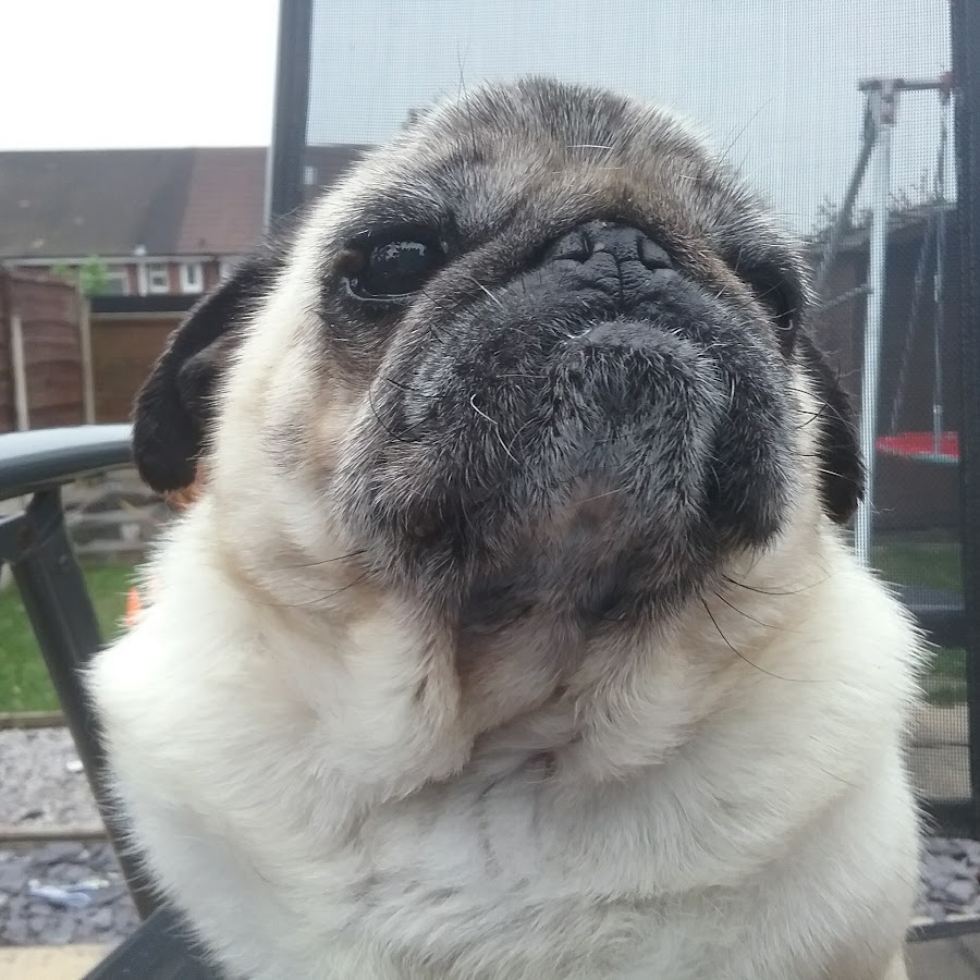 Memes and garlic bread - YouTube