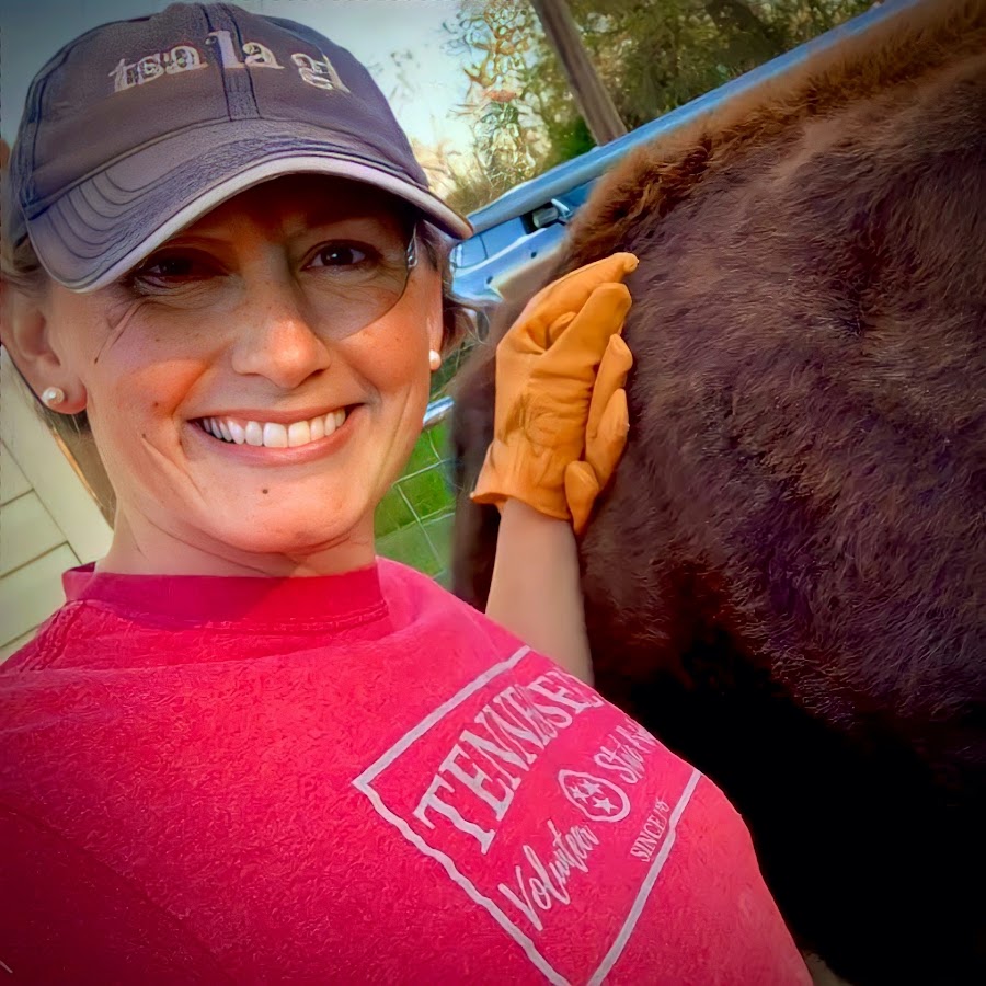 Appalachia's Homestead with Patara YouTube