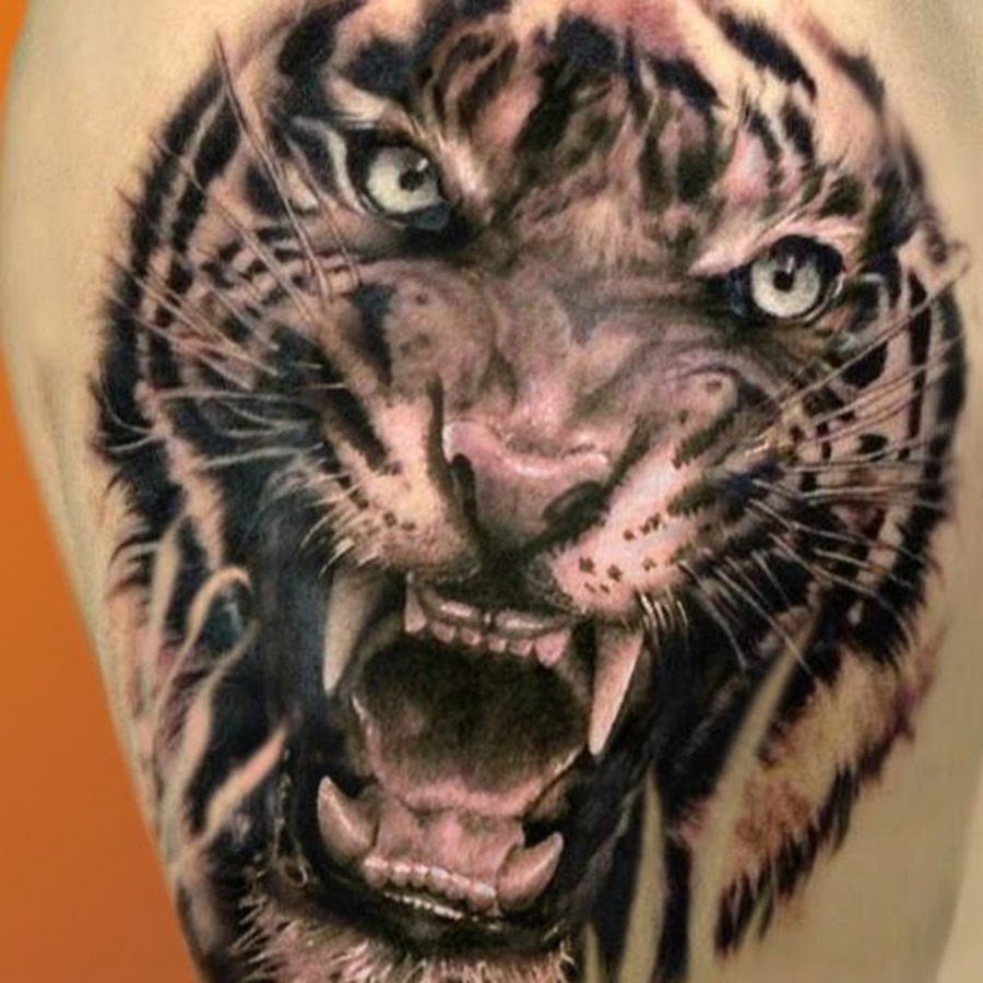 Тату тигра с оскалом. Тату оскал тигра на плече. Оскал тигра тату. Тату тигра с оскалом. Татуировки оскал тигра.