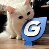 iGeroy