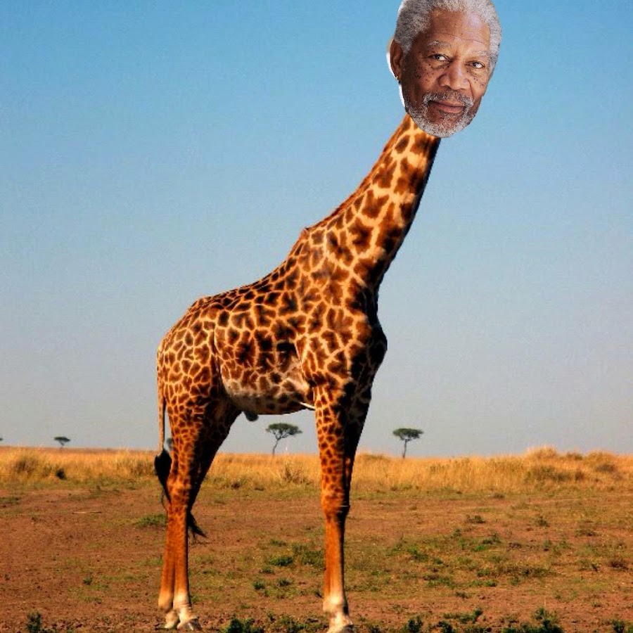 Manohmana 