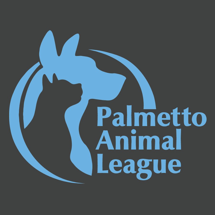 Palmetto Animal League Adoption Center - YouTube