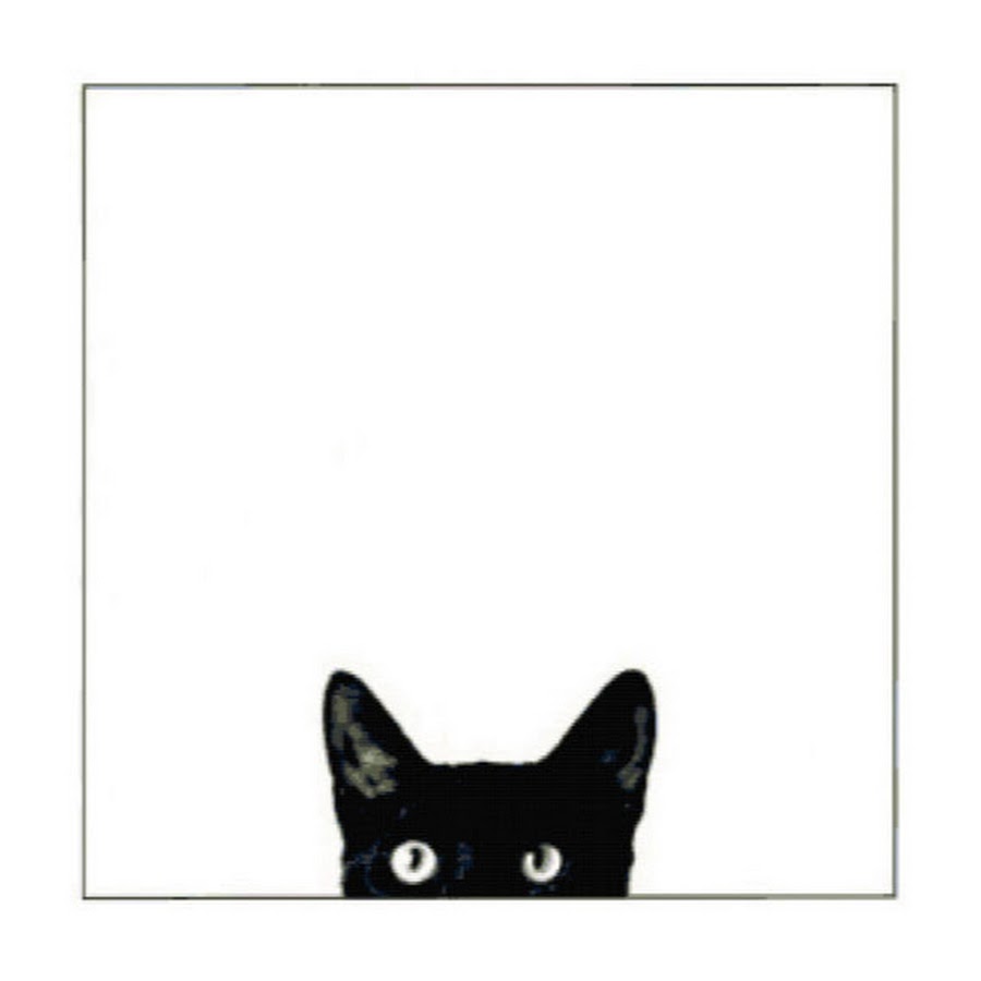 Meraklı Kedi YouTube