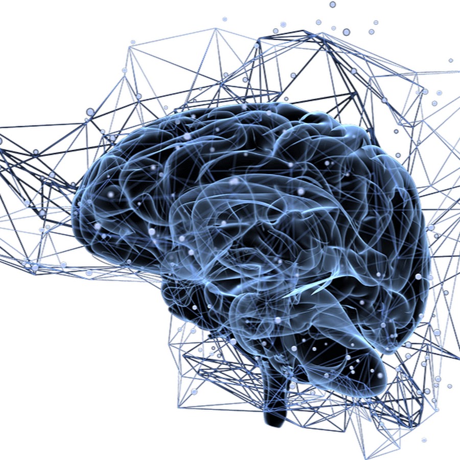 Нейро для создания проекта Study: Brain Proteins, Patterns Reveal Clues to Understanding Epilepsy Universit