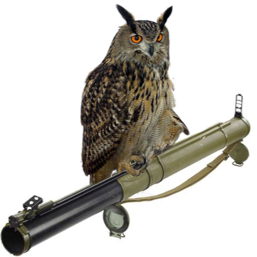 AGF-l79IZSYbmbBls5eQT_1xSOfAGl4FJQ1VXmKsOQ=s900-c-k-c0xffffffff-no-rj-mo