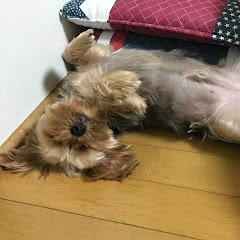 ちなみみ