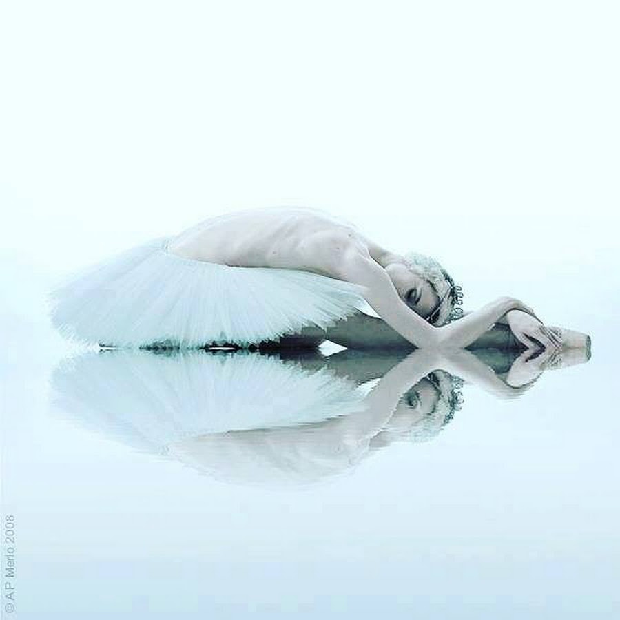 Лебединое озеро умирающий. Балерина Лебединое озеро. Умирающие лебеди балет. Балерина белый лебедь.