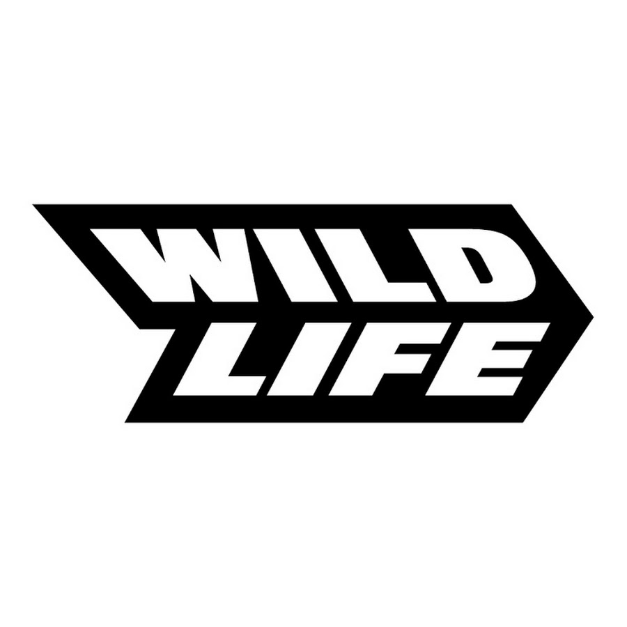 Wildlife Studios - YouTube