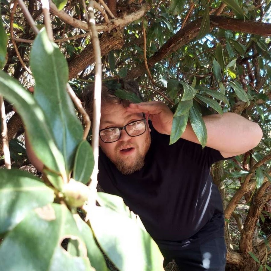 Гадальная карта доктор poe